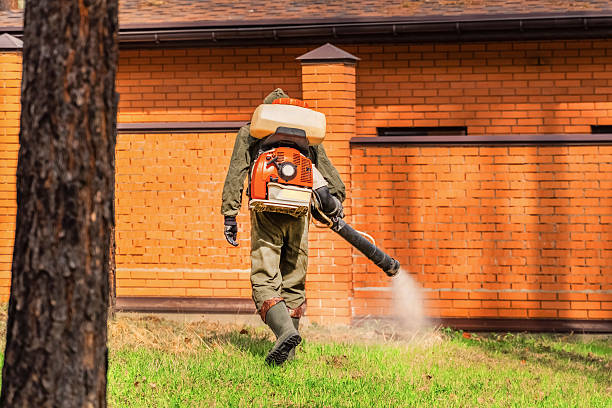 Trusted Ant Control service in Kalifornsky, AK - Nex Pest Control